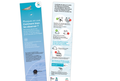 Marque-page perforé pour transmettre au grand public les messages de sensibilisation sur l'observation des phoques (2022)