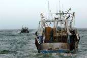 Bateaux de pêche chalutier dans la Manche