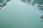 Activités nautiques en baie de Canche, survol aérien dans le cadre du projet RESOBLO