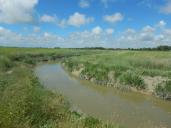 Dien, rivière qui se jette dans la Somme.