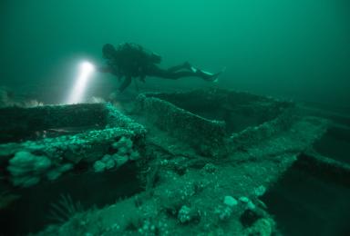 Cales de l'épave de l'Argo, un navire à vapeur anglais construit en 1882, coulé lors de la 1ère guerre mondiale et aujourd'hui colonisé par de nombreuses espèces vivantes, dans les eaux du Parc naturel marin des estuaires picards et de la mer d'Opale