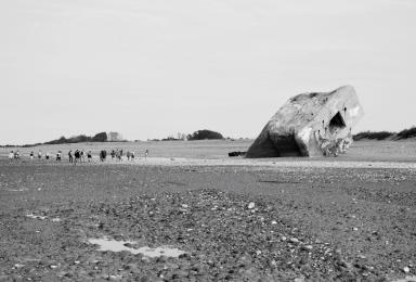 "La terre vue de la mer - observatoire photographique des paysages" - Blockhaus du Hourdel à marée basse